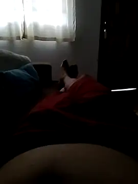 Jospauzudo  online show from January 14, 9:56 am