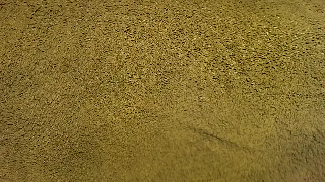 TheHardone 29 online show from December 15, 7:00 pm