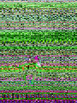 Snapshot of A6229 chatting on January 13, 12:24 pm A6229 online show from January 13, 12:24 pm