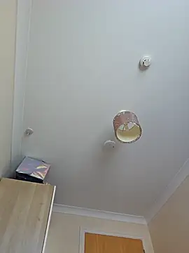 meateater1 online show from November 1, 10:41 am