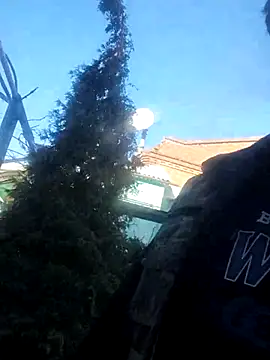 Viause Kentauelle online show from February 10, 7:35 am