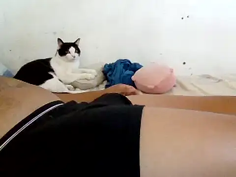 yass56789 online show from October 2, 1:04 pm