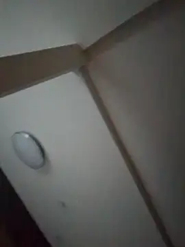 pnp0Japan online show from February 27, 8:50 am