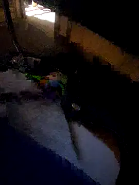 daddysmalldick502 online show from November 4, 6:42 pm