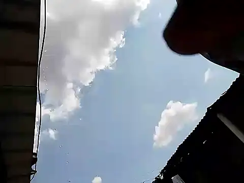 Snapshot of Gutierrez6383 chatting on March 8, 6:03 pm Gutierrez6383 online show from March 8, 6:03 pm