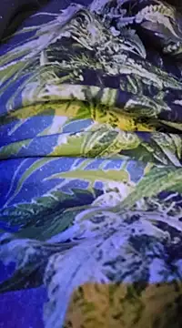 Snapshot of McdyllanXX chatting on February 13, 12:24 am McdyllanXX online show from February 13, 12:24 am