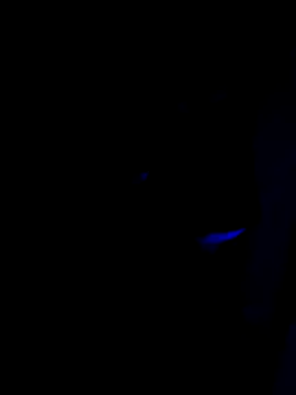 Snapshot of McdyllanXX chatting on January 17, 11:00 pm McdyllanXX online show from January 17, 11:00 pm