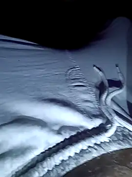 Snapshot of Fragolina73- chatting on November 1, 12:36 am Fragolina73- online show from November 1, 12:36 am