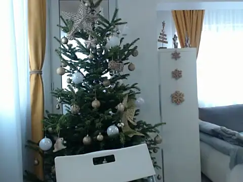 GoldenMark online show from December 20, 12:05 pm