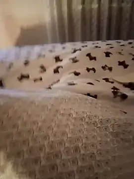 Porco81cazzo online show from December 21, 11:46 pm