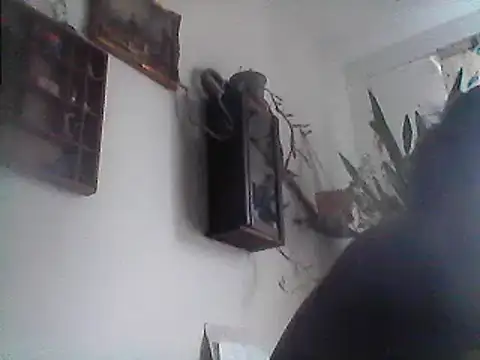 Snapshot of Bigpenis6y chatting on December 29, 1:17 pm Bigpenis6y online show from December 29, 1:17 pm