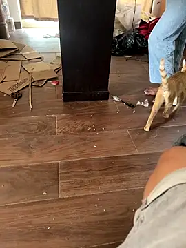 mexi01we online show from September 16, 6:09 pm