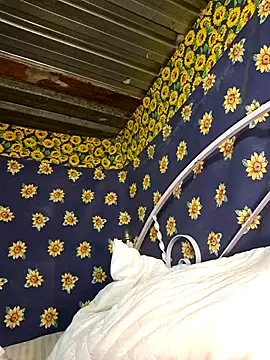 bull Giant online show from February 3, 2:47 am