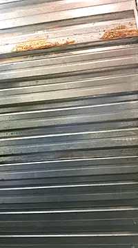 bull Giant online show from January 30, 9:36 pm