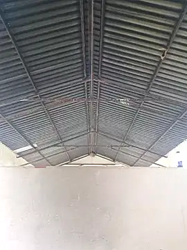 bull Giant online show from February 20, 11:42 am