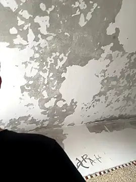 2DemetCCoop2 online show from October 13, 5:19 pm