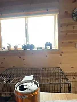 mysterious cowboy online show from March 23, 5:19 pm