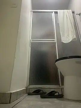 party2025 online show from February 10, 4:22 pm