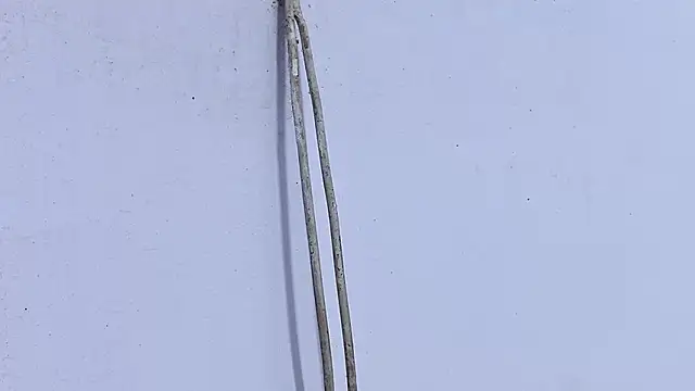 Habibi big b online show from April 19, 5:23 pm