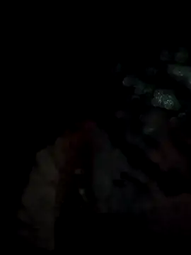 lit702 online show from April 6, 8:53 pm