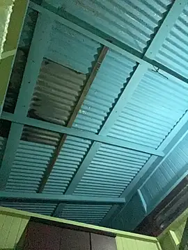 islandvybee55 online show from January 11, 9:13 am