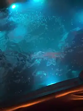 PR-Papi512 online show from February 26, 6:48 am