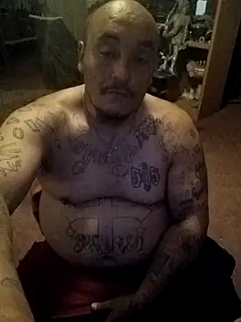 wilsons12 online show from March 27, 8:26 am