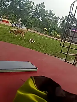 Mmm992170 online show from December 24, 11:06 am