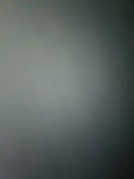 Mmm992170 online show from December 14, 7:29 am