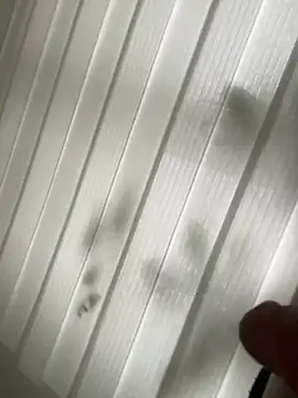 derFickerali online show from January 23, 1:13 pm