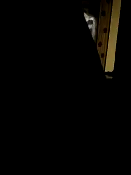 Snapshot of Sid4Sex chatting on October 7, 7:07 pm Sid4Sex online show from October 7, 7:07 pm