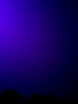 NewKing100 online show from December 5, 12:11 pm