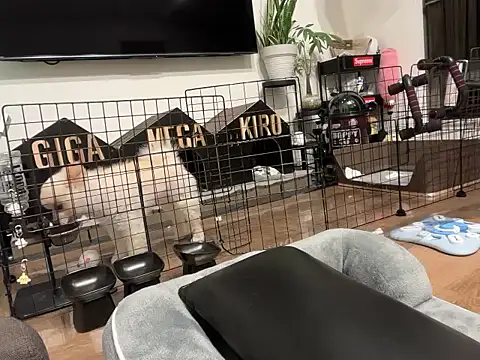 kensnb online show from November 2, 8:02 pm