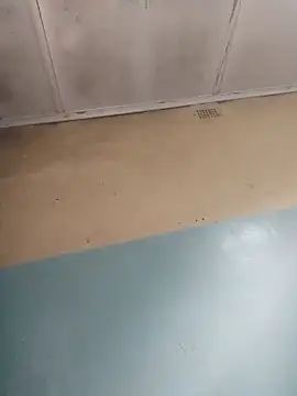 123hkkwjsbsbsb online show from December 3, 7:08 am