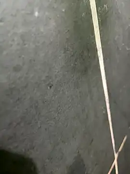 Snapshot of gzn01 chatting on October 22, 6:54 pm gzn01 online show from October 22, 6:54 pm