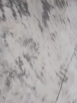 nick05inch online show from October 16, 12:35 pm