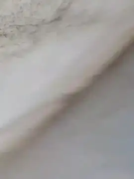 MrNick74 online show from December 22, 12:24 pm