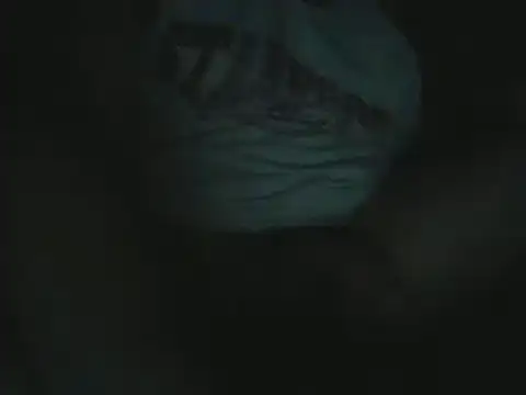 sbrodo96 online show from December 5, 8:56 pm