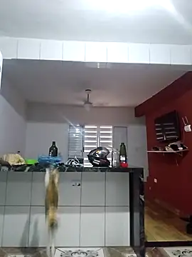 VibratedPoaching online show from March 19, 1:58 pm