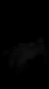 Deniell-01 online show from March 19, 10:20 pm