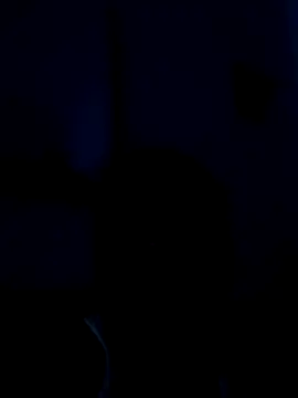 KrishnaDevaraya online show from January 28, 5:24 pm