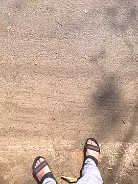 faaseel online show from February 20, 5:44 am