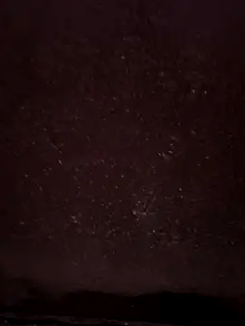 faaseel online show from February 14, 4:20 pm