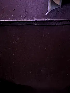 faaseel online show from February 26, 3:41 pm