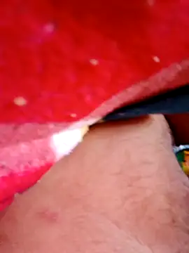 frotasso online show from December 11, 3:55 pm