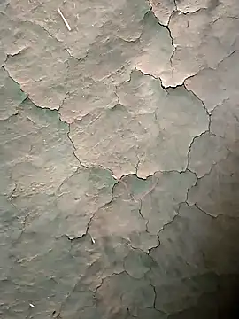 Guru2 online show from January 16, 10:51 am