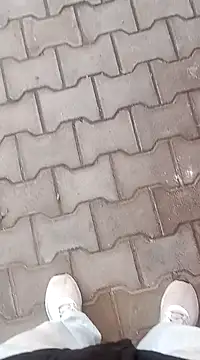 Snapshot of playboyz77 chatting on December 29, 11:40 am playboyz77 online show from December 29, 11:40 am