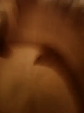 HueingChamber4352 online show from October 1, 3:49 pm