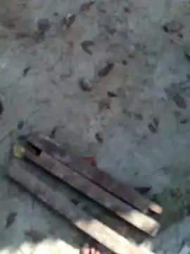 xLoveer online show from February 5, 3:46 am