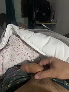 zoltard 1911 online show from February 11, 4:35 pm